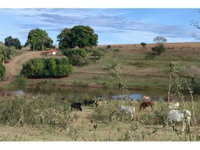 Área Rural em Leilão - Boa Vista, Itaju/SP