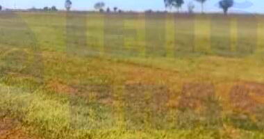 Gleba Rural com 64,29 ha em Tatuí - Excelente Oportunidade