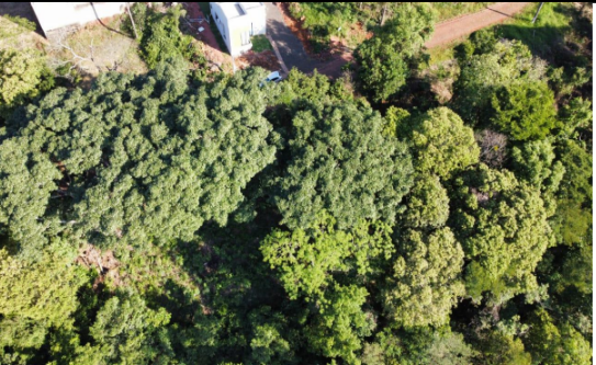 Terreno com 955,14m² - Desocupado - Pagamento à vista