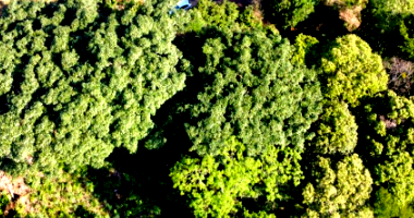 Terreno com 955,14m² - Desocupado - Pagamento à vista