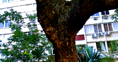 Apartamento em Copacabana com 1 quarto e 1 banheiro