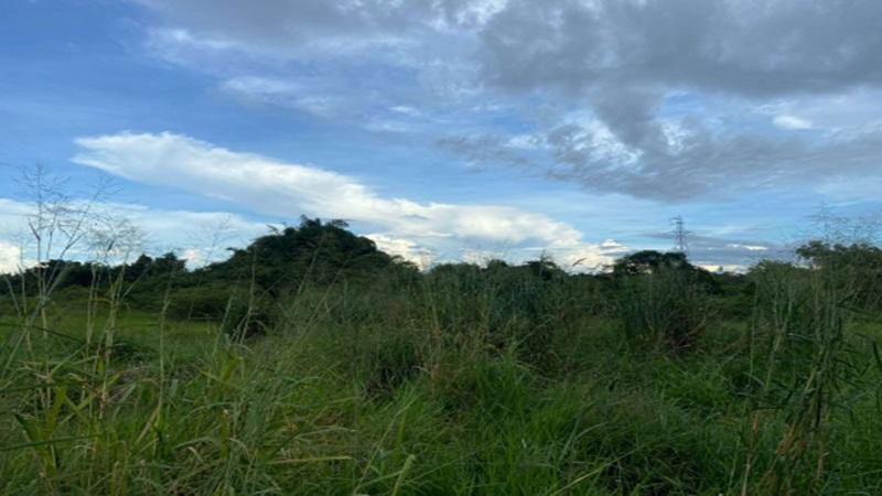 Terreno Urbano com 5.600 m² em Rolim de Moura/RO