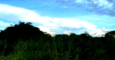 Terreno Urbano com 5.600 m² em Rolim de Moura/RO