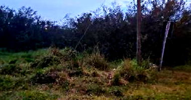 Terreno Amplo em Caxias do Sul com 477m²