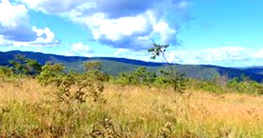 Área de Terras com 390ha em Jequitinhonha/MG