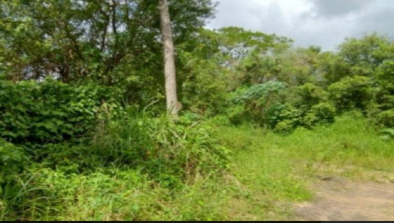 Terreno Rural com 7 Hectares em Igarassu/PE