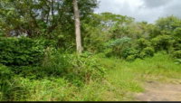 Terreno Rural com 7 Hectares em Igarassu/PE