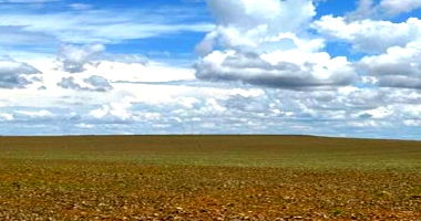 Fazenda de 231,82 Ha em Silvânia/GO com Terra de Soja