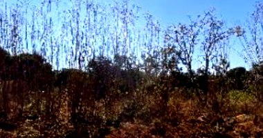 Casa com 2 Quartos em Santo Antônio do Descoberto/GO