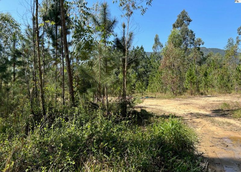 Terreno amplo com 10.465m² em Santo Amaro da Imperatriz