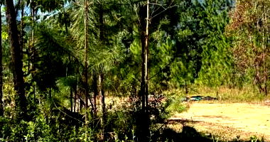 Terreno amplo com 10.465m² em Santo Amaro da Imperatriz
