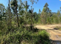 Terreno amplo em Santo Amaro da Imperatriz com 10.465 m²