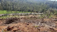 Área Rural de 109.806,34m² em Serra Alta - SC