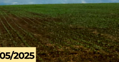 Fazenda Vale do Pureza - 4.934,55 hectares em Tasso Fragoso/MA