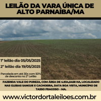 Fazenda Vale do Pureza - 4.934,55 hectares em Tasso Fragoso/MA