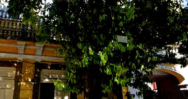 Prédio Comercial com 10,80m de frente no Rio de Janeiro/RJ