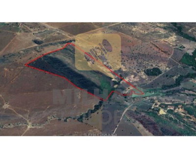 Fazenda com 75,34 ha em Unaí/MG