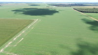 Fazenda Três de Maio, 440,43ha, desocupada