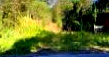 Terreno amplo de 10.000 m² com localização estratégica e desocupado