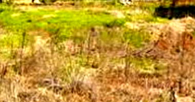 Terreno Urbano com 782,80m² em Dois Vizinhos-PR