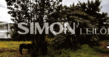 Imóvel Urbano em São Jorge D'oeste/PR