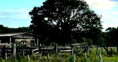 Gleba de Terras com 146ha em Rio Verde/MS