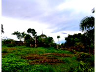 Sítio Produtivo com Casa Antiga e Açude em Guapó/GO