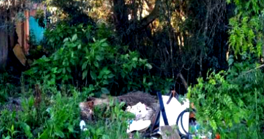 Terreno com 207,78m² em São José dos Pinhais/PR