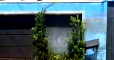 Casa em leilão com 200m² construída em Rio Brilhante/MS