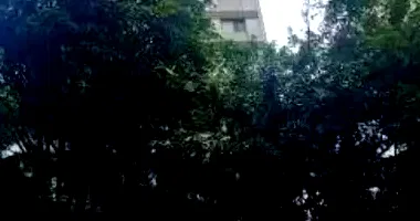 Apartamento Duplex com 2 vagas, 319m² privativos, ocupado