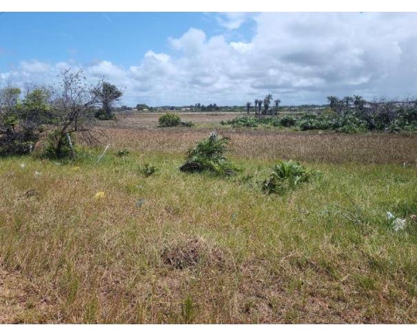 Amplo Terreno Urbano de 450m² para Oportunidades Comerciais