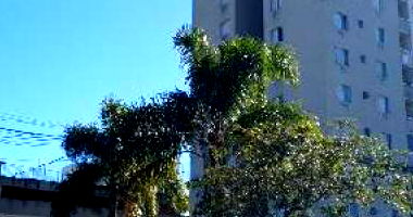 Apartamento com 3 quartos em Caxias do Sul/RS