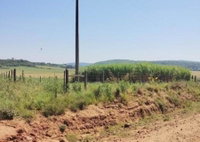Área Rural de 11 ha em Maçambará - RS -