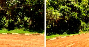 Terreno em Morada dos Colibris - 1.012,50 m²