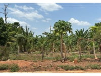 Terreno em Leilão com 4125.27m²