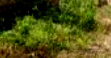 Terreno em Feira de Santana com 193,29 m²