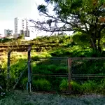 Gleba de terras com 2.933,32 m²