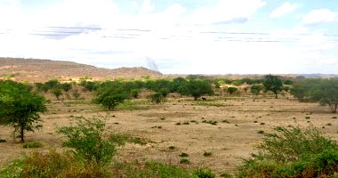 Imóvel Rural com 30.000m² em Arapirina/PE