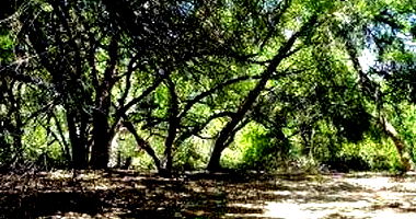 Terreno Amplo em Leilão - Desocupado