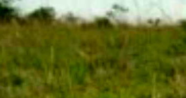 Terreno 197,89 m² no Loteamento Vivari - Ocupado