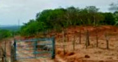 Área rural com 239,25 hectares, parte da Fazenda Palmeirinha, imóvel ocupado