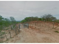 Área rural com 239,25 hectares, parte da Fazenda Palmeirinha, imóvel