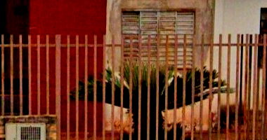 Casa com 1 quarto e terreno de 180m² em Santa Cruz do Rio Pardo