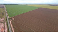 Fazenda com 400 HA para Soja e Milho em Paraíso das Águas/MS