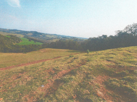 Terreno amplo em Bom Jesus do Sul - PR
