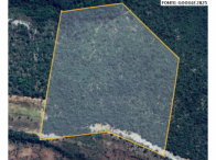 Área de terras - 29,63 ha em Formosa da Serra Negra/MA