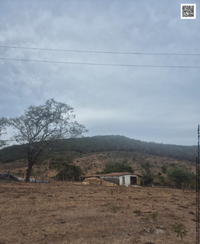 Propriedade Rural com Casa de Alvenaria em Minador do Negrão/AL