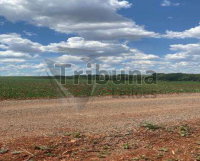 Chácara Rural com 2,02 Hectares em Cândido Mota