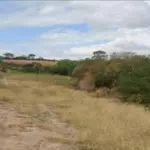 Terreno em São José do Rio Preto - Lote 07 da Quadra C