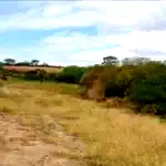 Terreno em São José do Rio Preto - Lote 07 da Quadra C